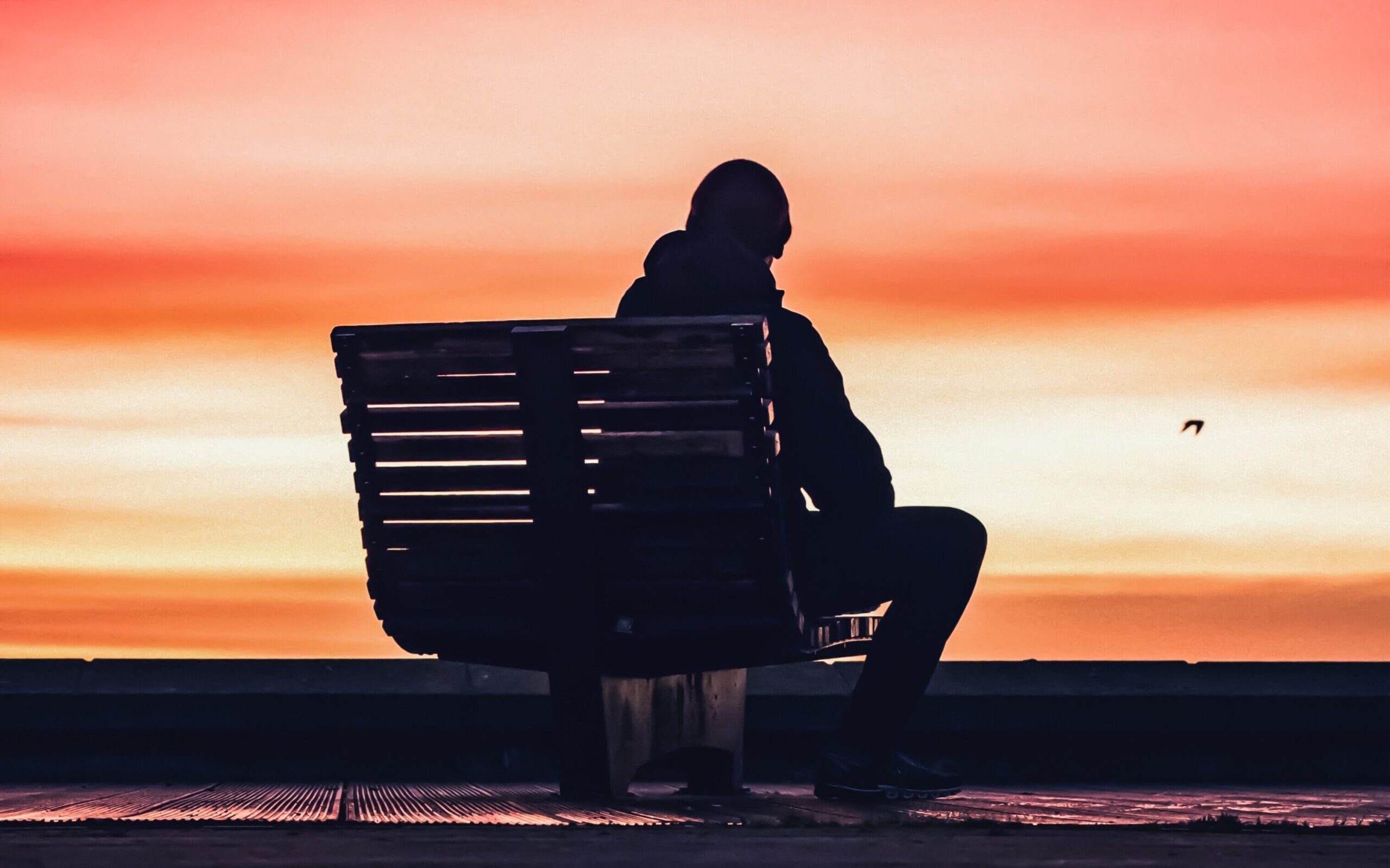 silhouette of man sitting on bench near beach during sunset
